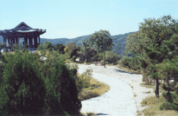 Fragrant Hills(Xiangshan) park