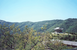 Fragrant Hills(Xiangshan) park