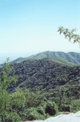 Fragrant Hills(Xiangshan) park