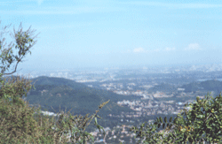 Fragrant Hills(Xiangshan) park